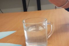 164063243_440508897034957_2839385950333613597_n