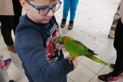 252295941_928232854447649_1729401467607896748_n