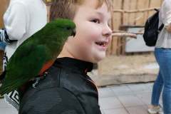 252457958_4454422541331842_2348247155248190600_n