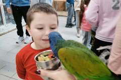 252463319_6601837273189544_6534901960937877473_n