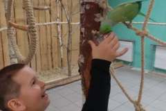 252509932_983862828835839_4871988430335781781_n