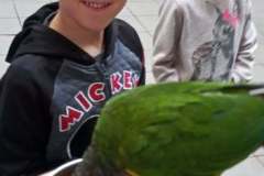 252645914_375484984365873_5456085393450401345_n