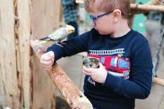 252671446_426071329133748_3595687052255555690_n