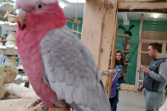 252690901_594822738497724_8936103554797198807_n