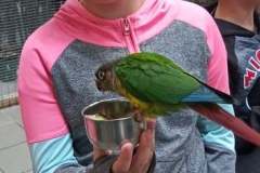 252737002_579692053285909_8897340924586586255_n