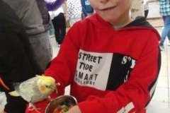 252992073_427649645407603_2519815851803485379_n