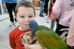 253174739_270958611486386_2892550777428932659_n