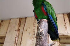 253328091_6399054683469748_6589159930525060559_n