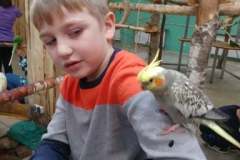 253564934_187421926885678_6628305566827948081_n