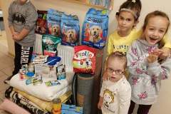 247428495_559532971781809_5510025114295386639_n