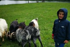 IMG_20210601_103756_resized_20210601_030344383-2