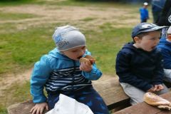 IMG_20210601_110040_resized_20210601_030347191