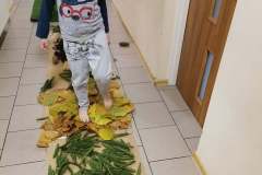 246730650_388062406347274_8889379215728321242_n