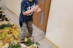 247015534_215413090692109_7447464383408698671_n