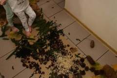 247087656_401290021486860_1190278435989500221_n