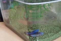 244336029_235926011917647_4205541147206288309_n