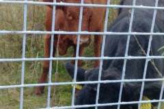 244391242_2940142319633215_1518340780143012945_n