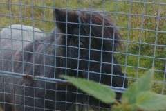 244392636_295371682090652_2920131305504447161_n