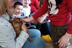 244400188_356811552850012_1529869951392780635_n