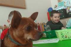 244408934_172648551688037_5106021667342093574_n