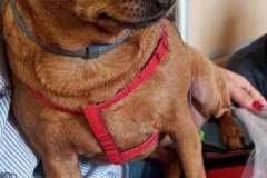 244441917_410083520836142_8089846496650774544_n