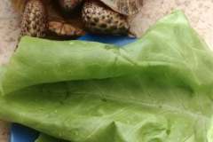 244464419_418941859844431_3197152767876898258_n