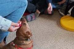 244472162_2110625985744170_9215230047245027469_n