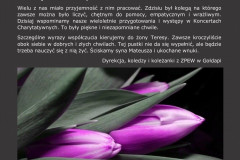 Z.-Szukajt