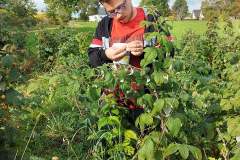 247558493_387092066470884_3937986916314075565_n